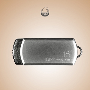 ����(POLA) CA750 USB Silver ���� (4GB~128GB)