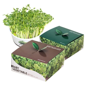 [������] �ǰ� ���� ä�� �⸣��(�μ��ǰ)