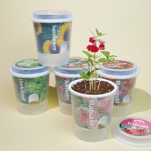 [������] �׷ο� ����(����丶��,������,����ȭ,�عٶ��)