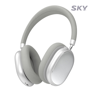 ��ī�� �� ANC H1 �������� ���� ����