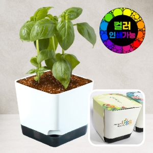 �簢ȭ��Ʈȭ��