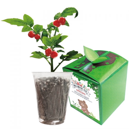 Ȩ/���׸����ǰ ����ȭ��/���� �丶�� �̴��ö������ ��ǰ ����