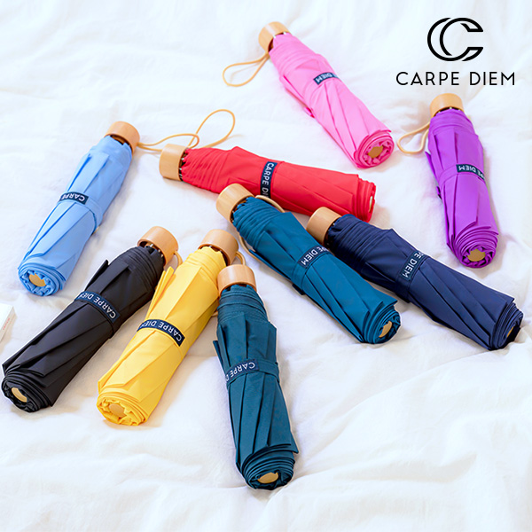 �귣�庰 ���/����/Ÿ�� ī����� ī����� ��Ƽ 3�� ������� (C039) ��ǰ ����