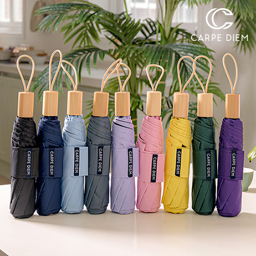 �귣�庰 ���/����/Ÿ�� ī����� ī����� �ϸ� 3�ܼ������� (C047) ��ǰ ����