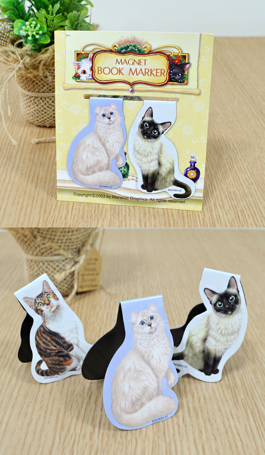 »óǰ Ãß°¡ »çÁø