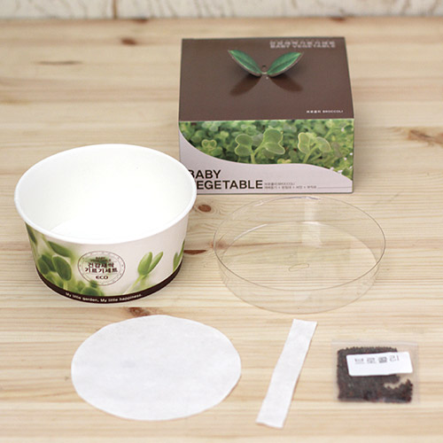 ��ǰ ����