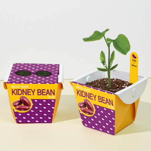 ��ǰ ����