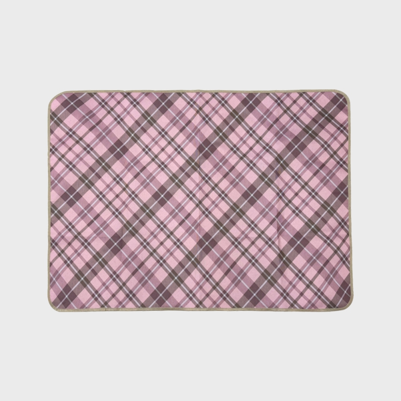 ��ǰ ����