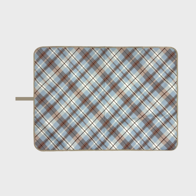 ��ǰ ����