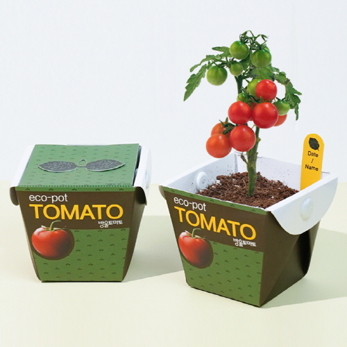 ��ǰ ����