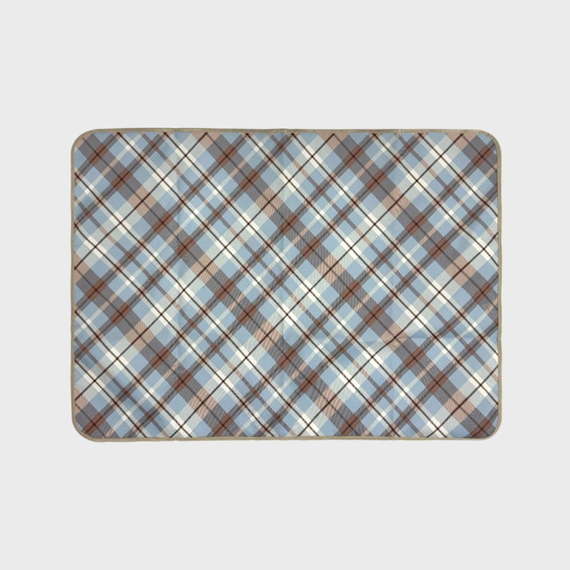 ��ǰ ����