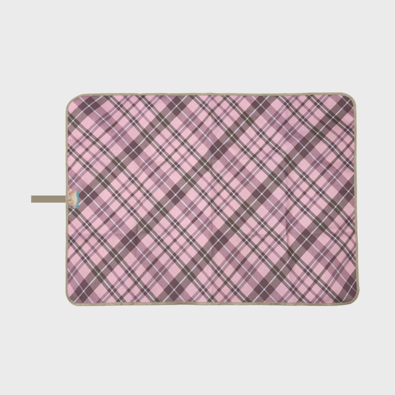 ��ǰ ����