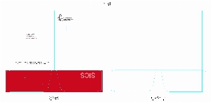 �μ� �þ� �̹��� 10249