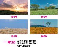 �μ� �þ� �̹��� 43973