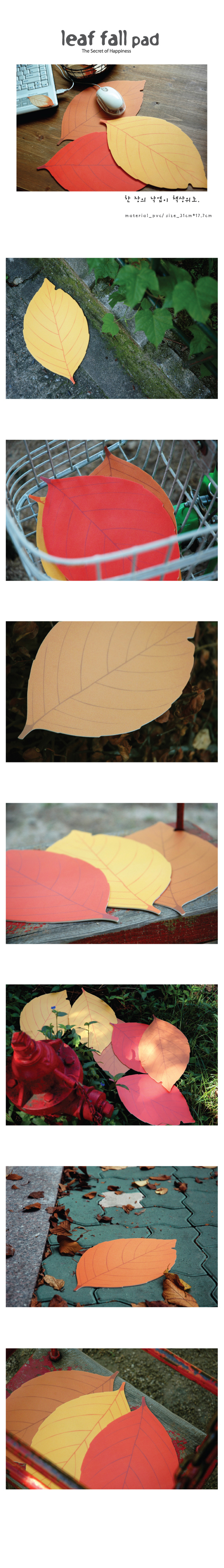 ��ǰ ���� ����