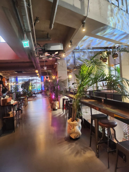 ������ ���� 1