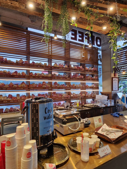 ������ ���� 1