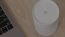 ����Ʈ��