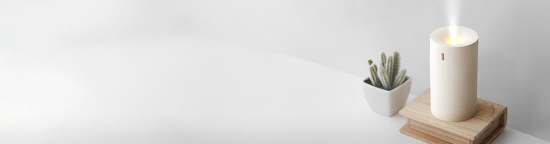 ������ ��ȹ��