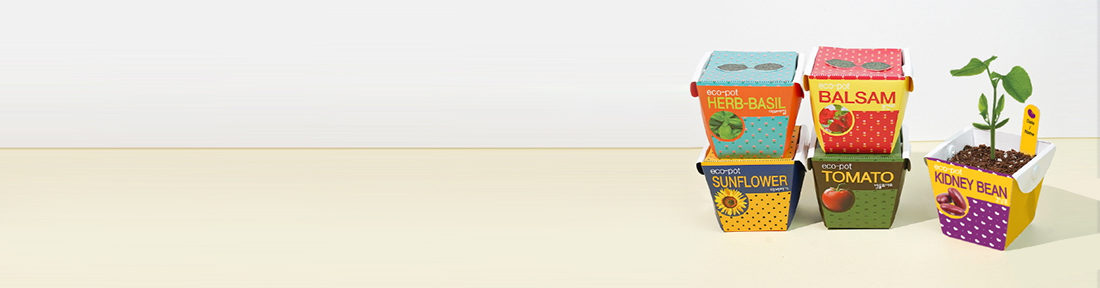 �Ĺ� ��ȹ��