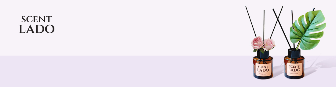 ��Ʈ �� �귣�� �� �̺�Ʈ