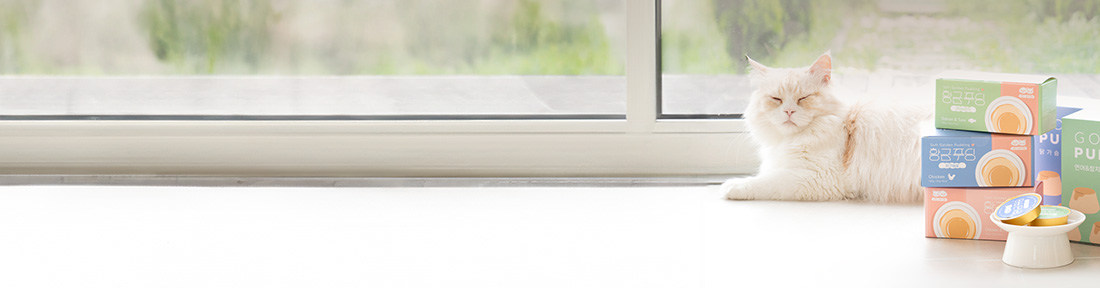 �ְ� �ݷ���ǰ ��ȹ��