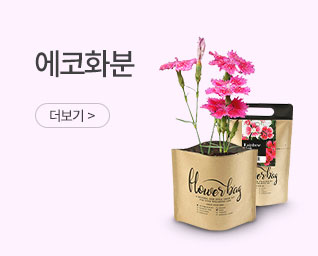 ����ȭ�� ���� ���˹� ���� | ����Ʈ����