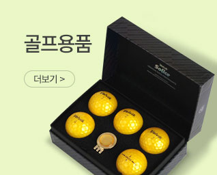 ������ǰ ���˹� ���� | ����Ʈ����