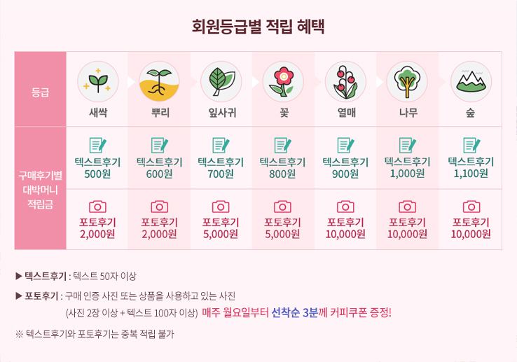 �����ı� ��޺� ��������