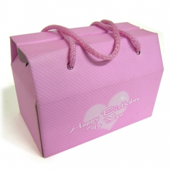 ���̻��� (230*165*125mm)