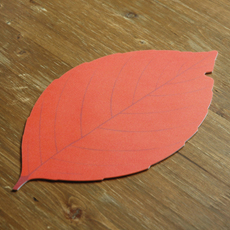 ��������_��������� (310*177mm)