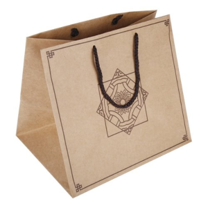 ���ö� Ư�� �� (300��230��300mm)(1����: 50��)