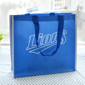 Lions �ֹ��� Ÿ������ (410x110x360mm)