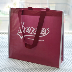 Nexen �ֹ���Ÿ������ (410x110x360mm)