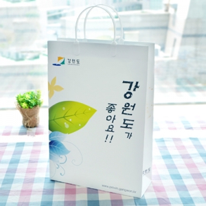 ���̼��ι�_������ (260x110x380mm)