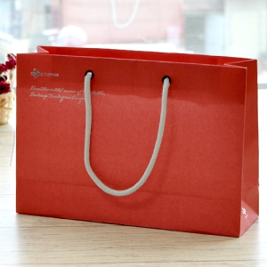 ���̼��ι�_������ (275x85x190mm)