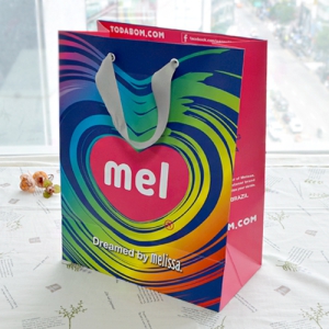 ���̼��ι�_��ٺ� (250x130x320mm)