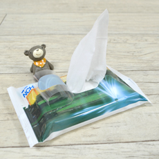 ���ǹ�Ƽ��_NCH