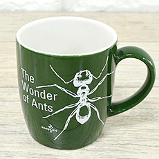 11�½� ��ӱ���_(����)