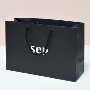 ���̼��ι�_sep (300x100x200mm)