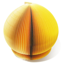 ��ü�����޸�_(����)