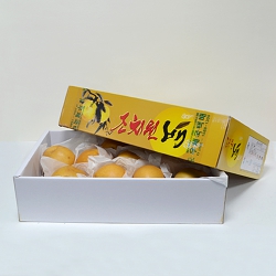 Į�� ���� �ڽ� (525*375*130mm)