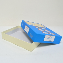 Į��ιٸ� ���Ϲڽ�_�������� (250*200*50mm)