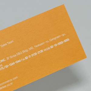 ���޸���(����Ŀ����/216g) (90*50mm)