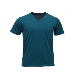 1306 ��н��� V�� ����