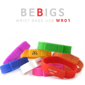 ��� WR01 ���USB�޸� (4GB~64GB)