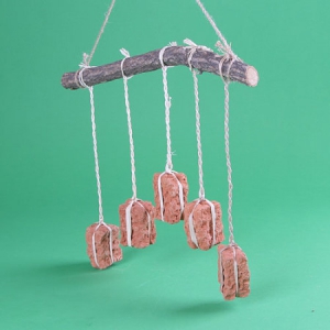 ���̿� ���� 5P