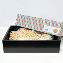 �����ڽ�_��ǰ�չ�