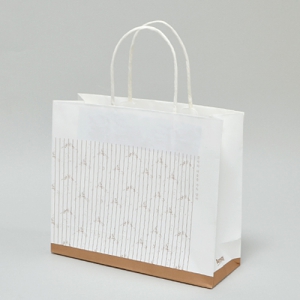 �ڵ����ι�_�Ͽ��� (210x100x255mm)