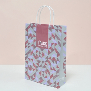 �ڵ����ι�_������ũ (270x108x380mm)